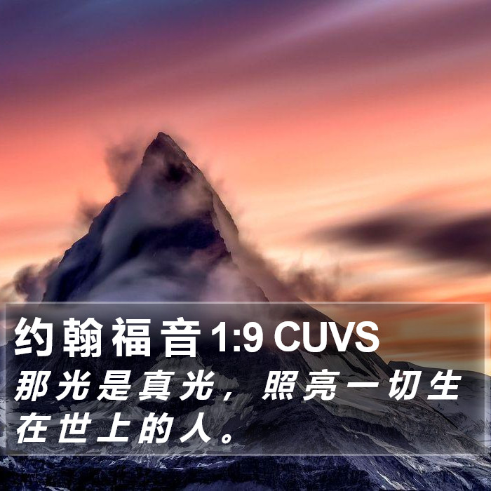 约 翰 福 音 1:9 CUVS Bible Study