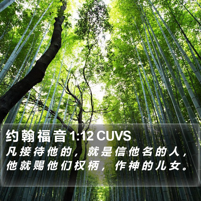 约 翰 福 音 1:12 CUVS Bible Study