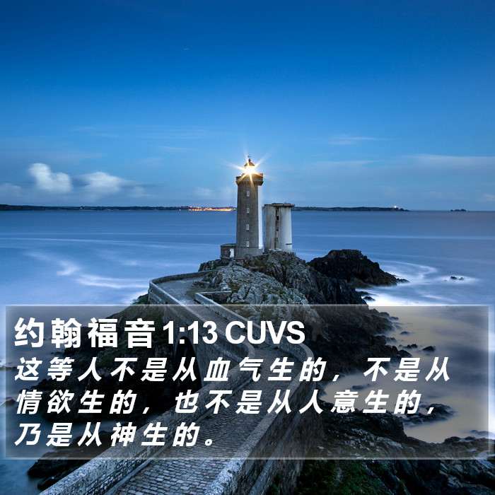 约 翰 福 音 1:13 CUVS Bible Study