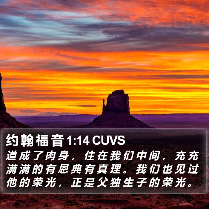 约 翰 福 音 1:14 CUVS Bible Study