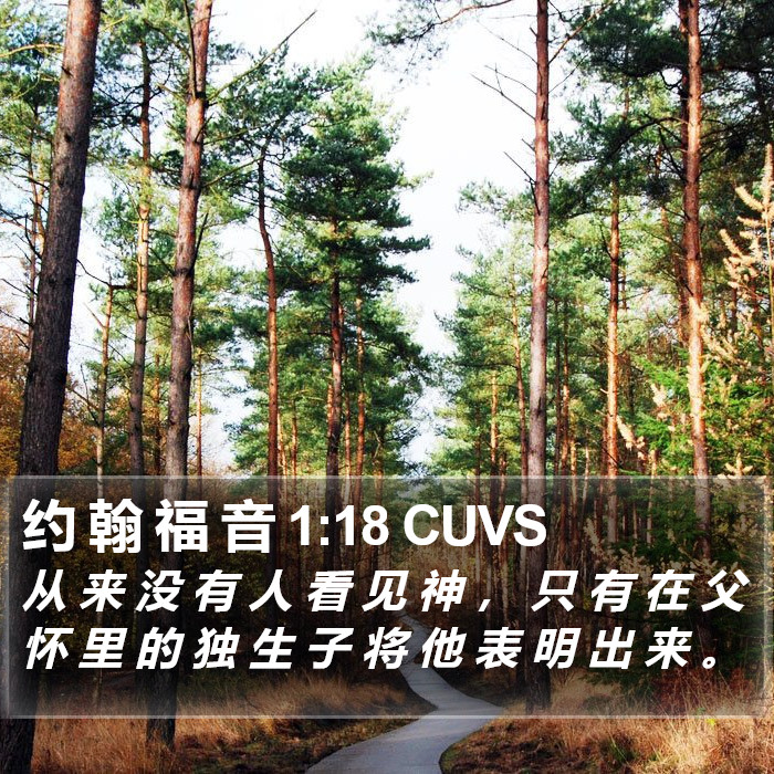 约 翰 福 音 1:18 CUVS Bible Study