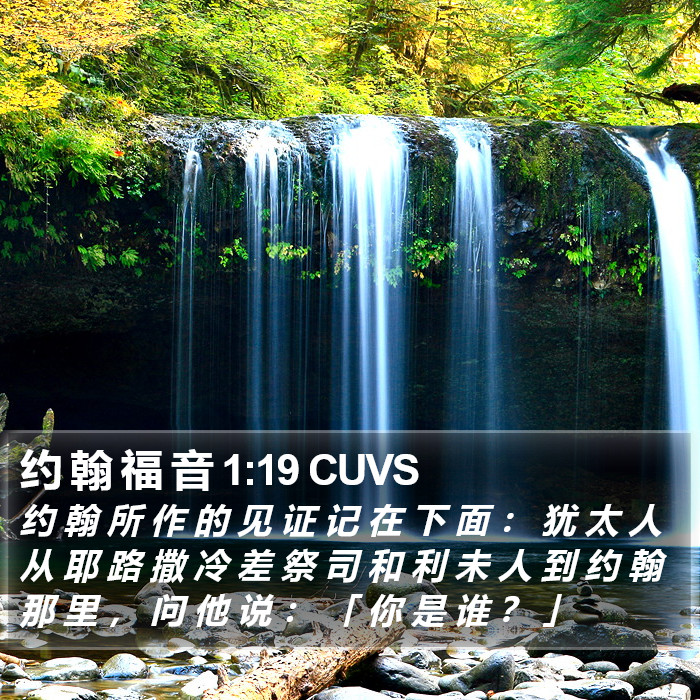 约 翰 福 音 1:19 CUVS Bible Study