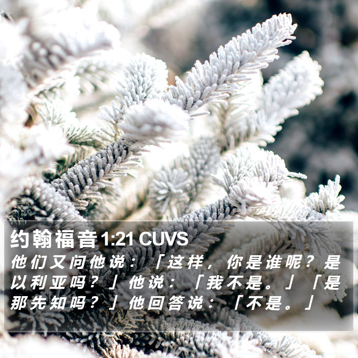 约 翰 福 音 1:21 CUVS Bible Study