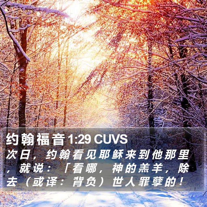 约 翰 福 音 1:29 CUVS Bible Study