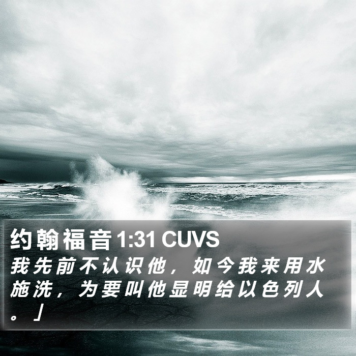 约 翰 福 音 1:31 CUVS Bible Study