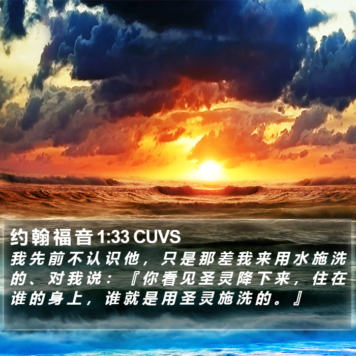 约 翰 福 音 1:33 CUVS Bible Study