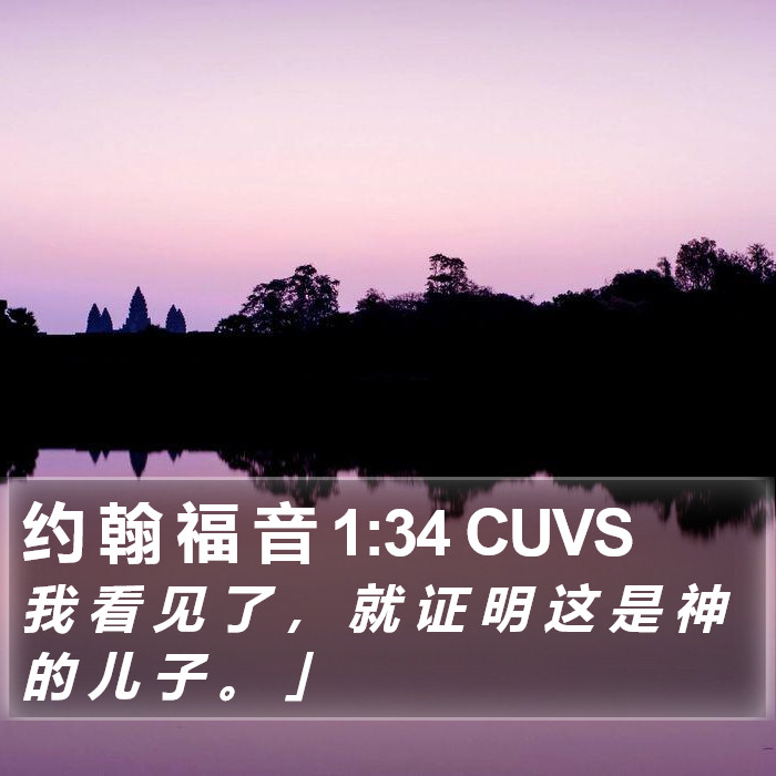 约 翰 福 音 1:34 CUVS Bible Study