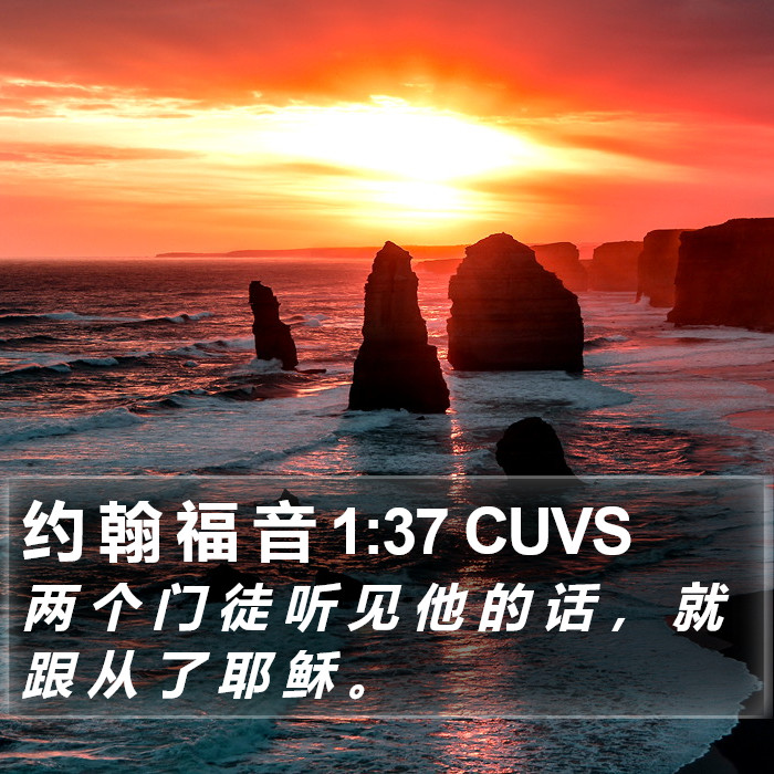 约 翰 福 音 1:37 CUVS Bible Study