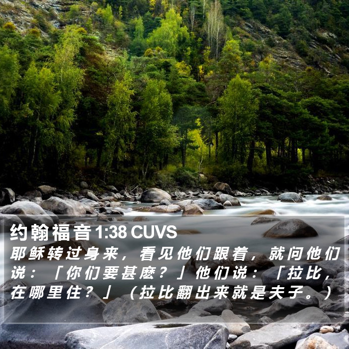 约 翰 福 音 1:38 CUVS Bible Study