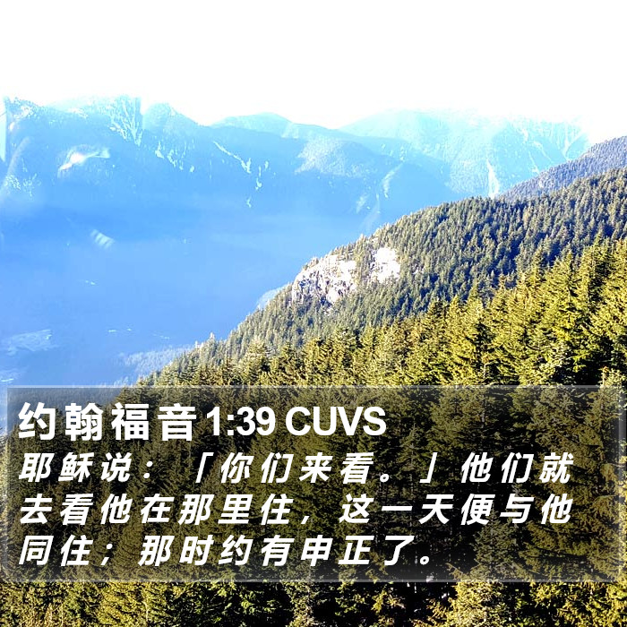 约 翰 福 音 1:39 CUVS Bible Study