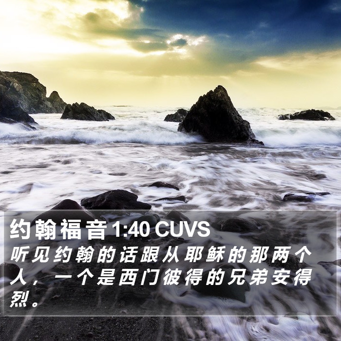 约 翰 福 音 1:40 CUVS Bible Study