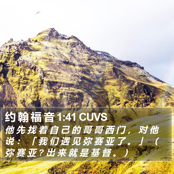 约 翰 福 音 1:41 CUVS Bible Study