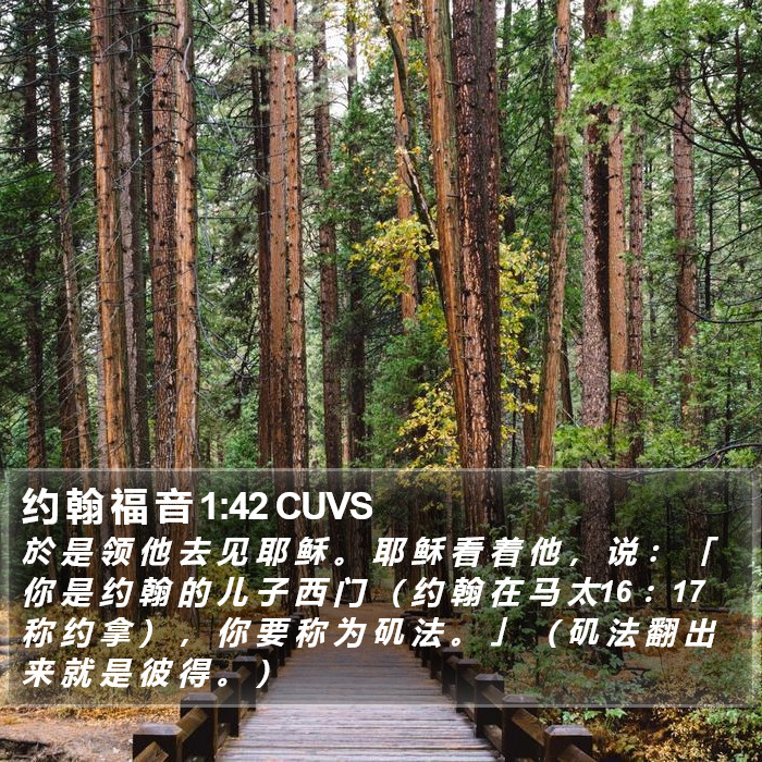 约 翰 福 音 1:42 CUVS Bible Study