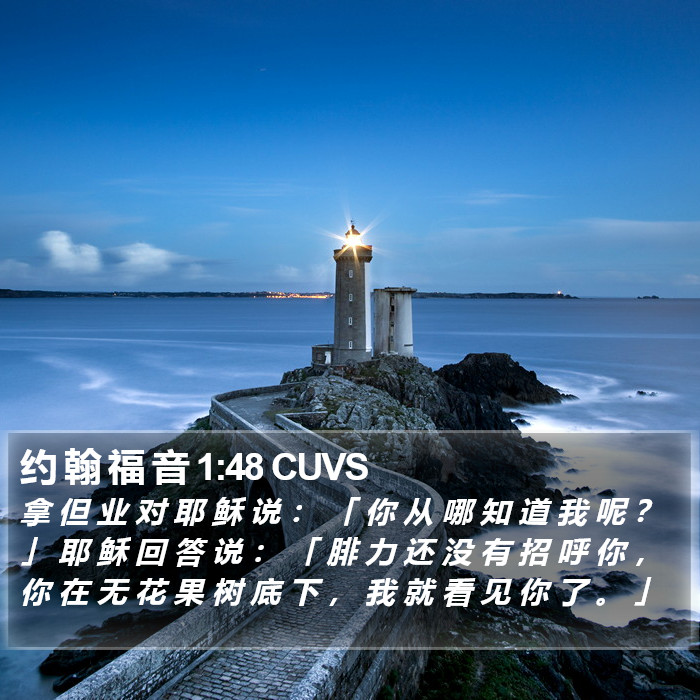 约 翰 福 音 1:48 CUVS Bible Study