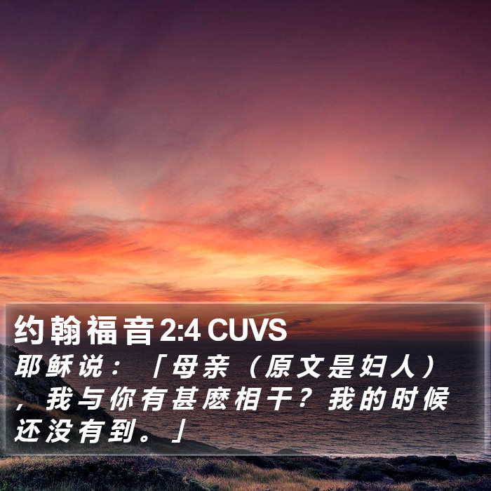 约 翰 福 音 2:4 CUVS Bible Study