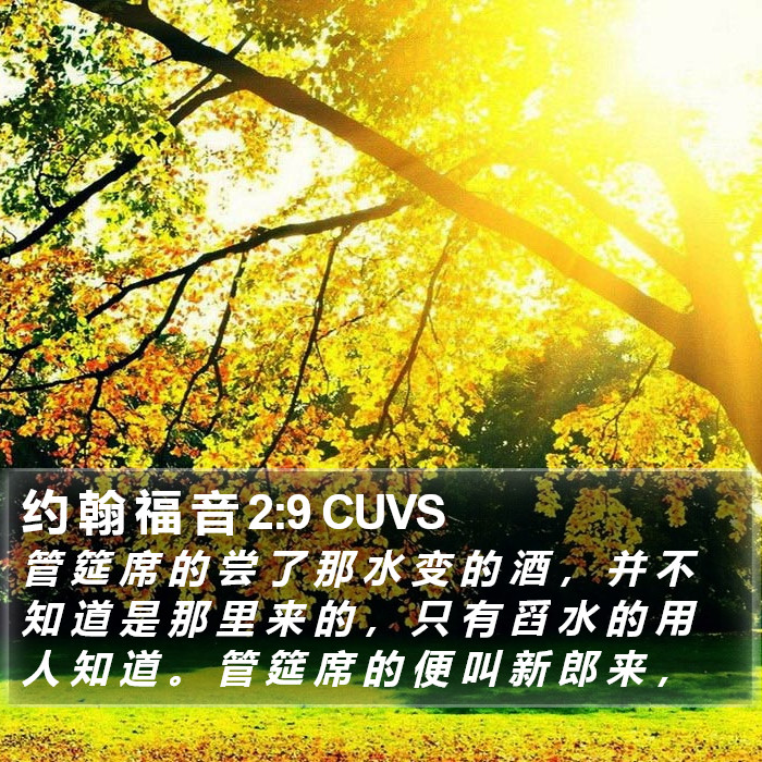 约 翰 福 音 2:9 CUVS Bible Study