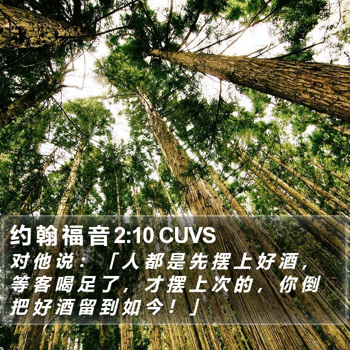 约 翰 福 音 2:10 CUVS Bible Study