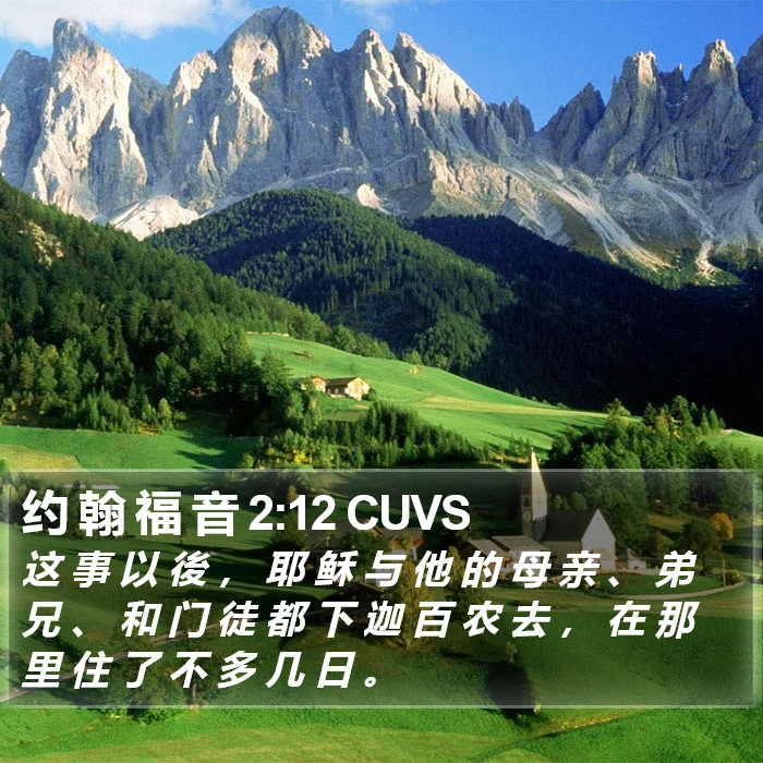 约 翰 福 音 2:12 CUVS Bible Study