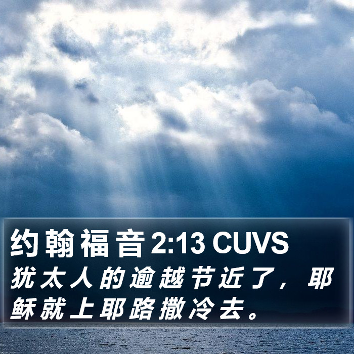 约 翰 福 音 2:13 CUVS Bible Study