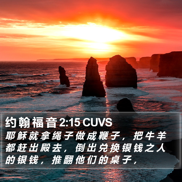 约 翰 福 音 2:15 CUVS Bible Study