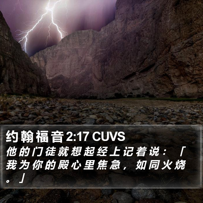 约 翰 福 音 2:17 CUVS Bible Study