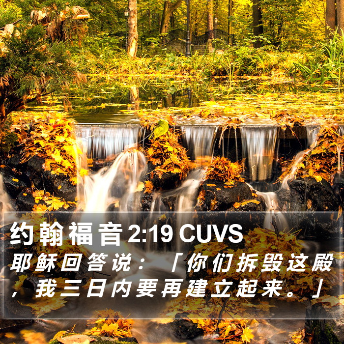 约 翰 福 音 2:19 CUVS Bible Study