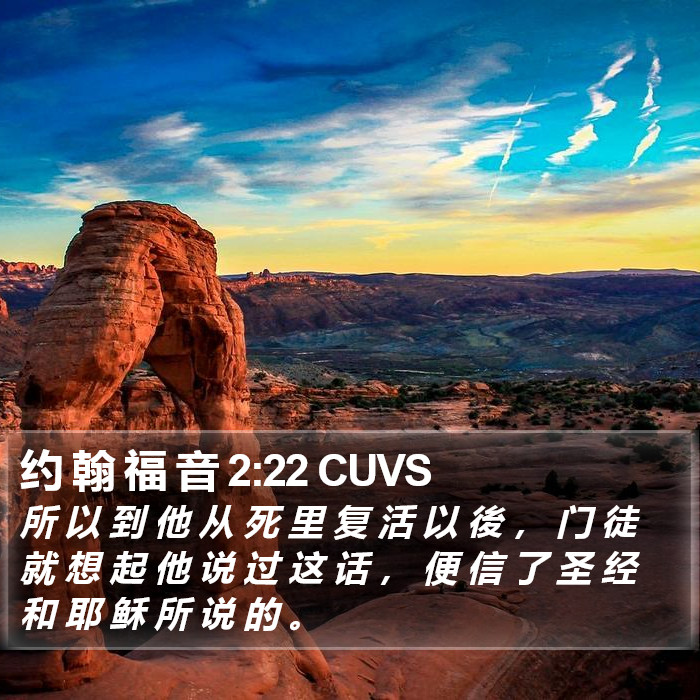 约 翰 福 音 2:22 CUVS Bible Study