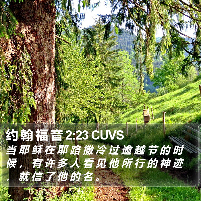 约 翰 福 音 2:23 CUVS Bible Study