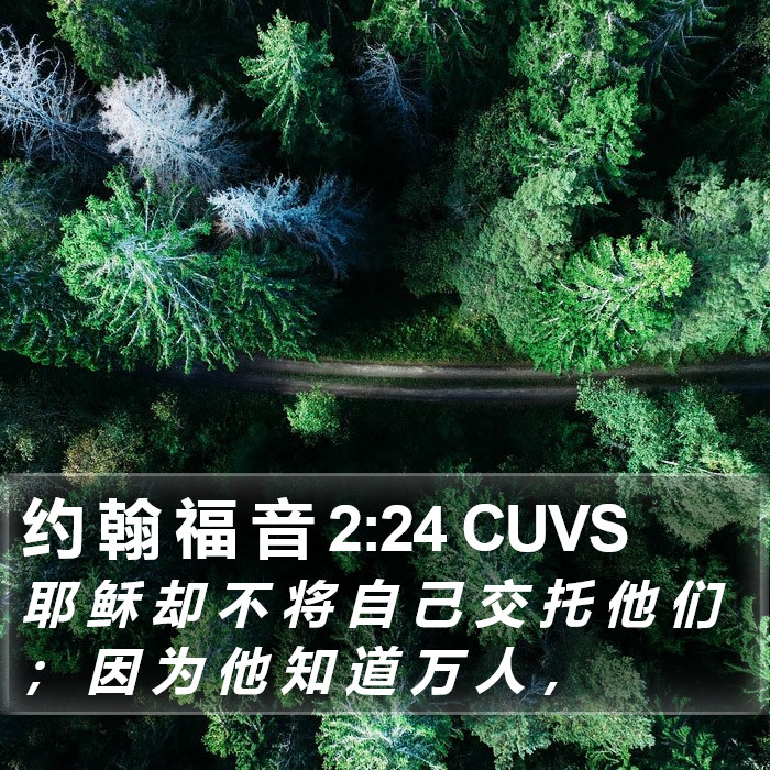 约 翰 福 音 2:24 CUVS Bible Study