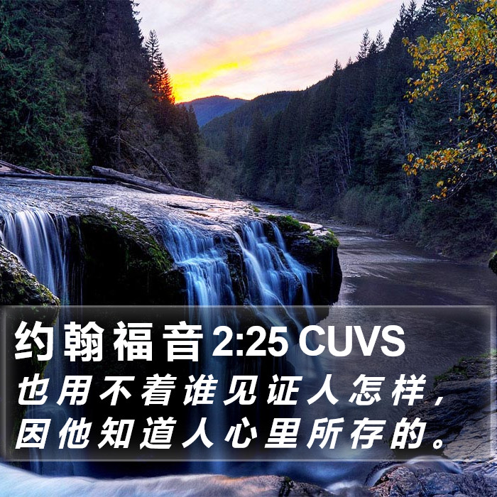 约 翰 福 音 2:25 CUVS Bible Study