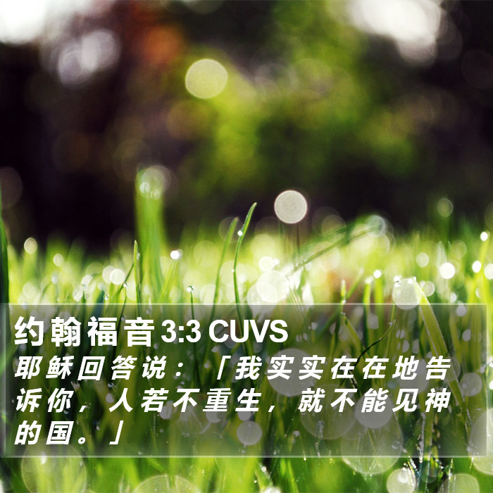 约 翰 福 音 3:3 CUVS Bible Study