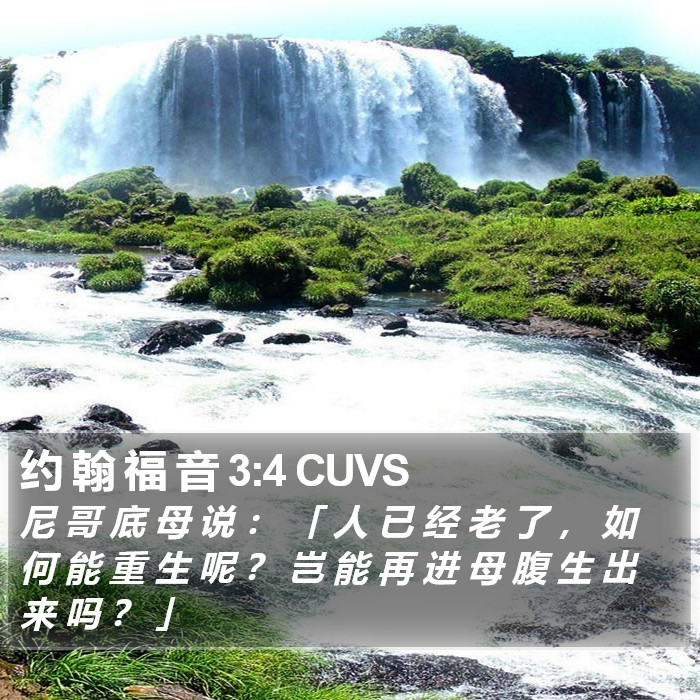 约 翰 福 音 3:4 CUVS Bible Study