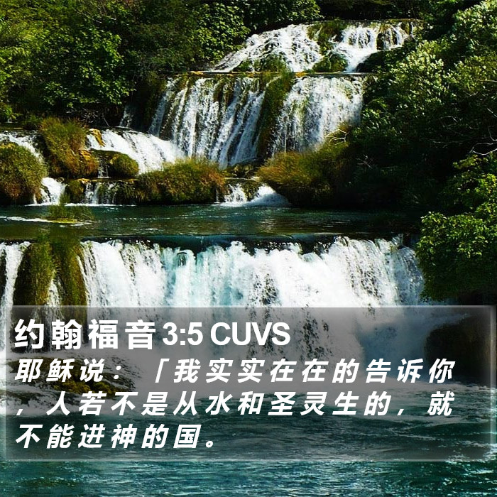 约 翰 福 音 3:5 CUVS Bible Study