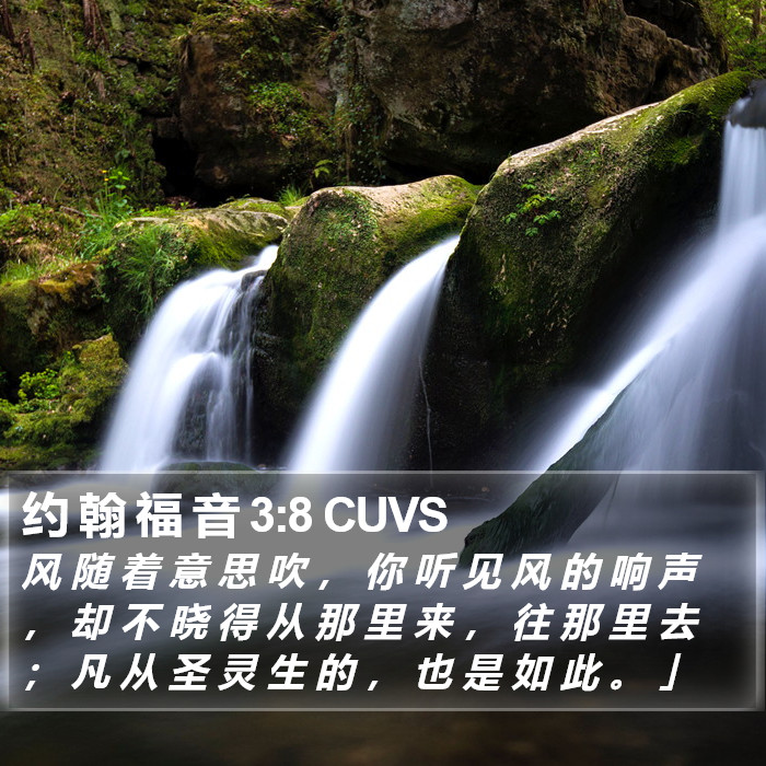 约 翰 福 音 3:8 CUVS Bible Study