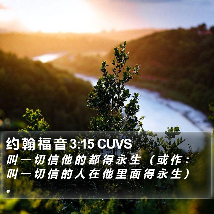 约 翰 福 音 3:15 CUVS Bible Study