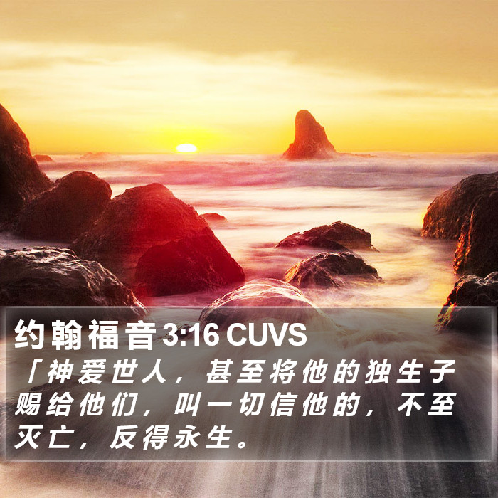 约 翰 福 音 3:16 CUVS Bible Study