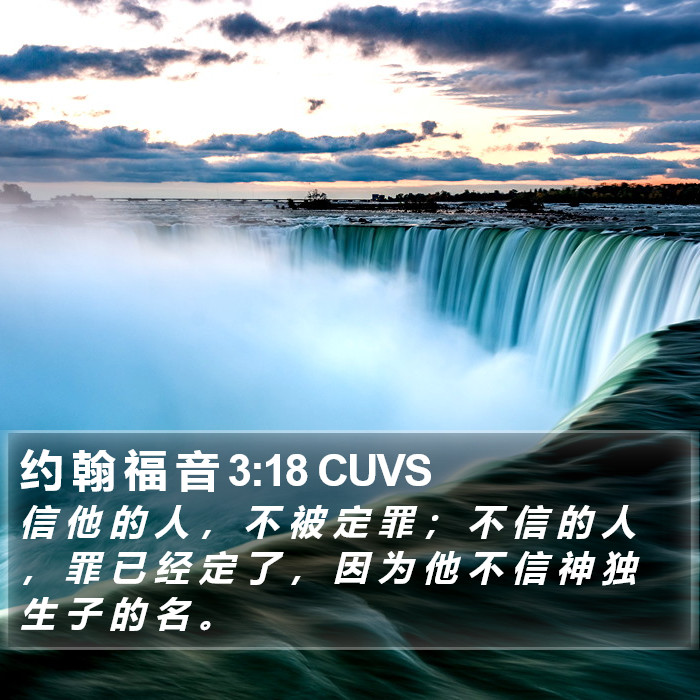 约 翰 福 音 3:18 CUVS Bible Study