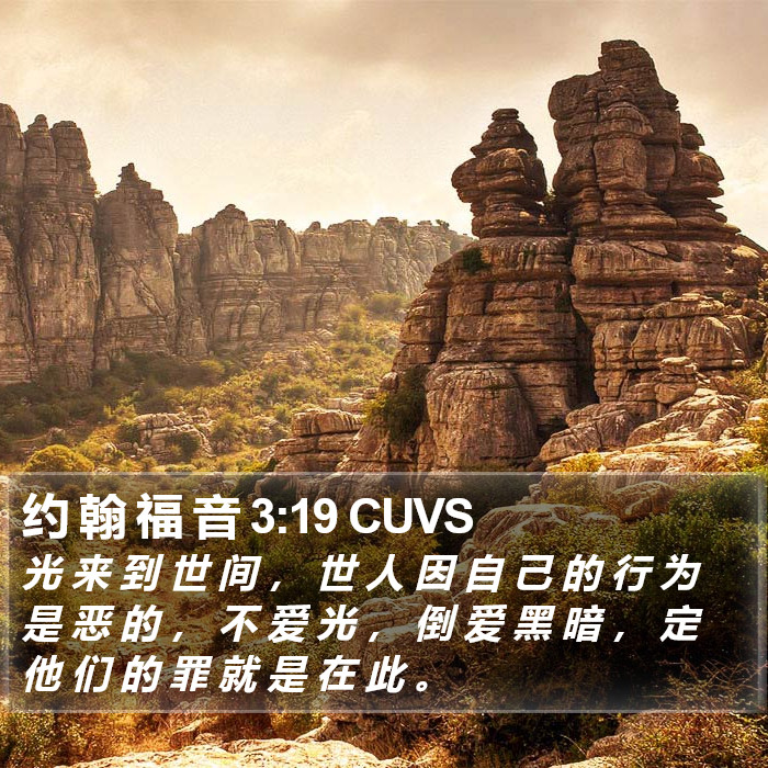 约 翰 福 音 3:19 CUVS Bible Study