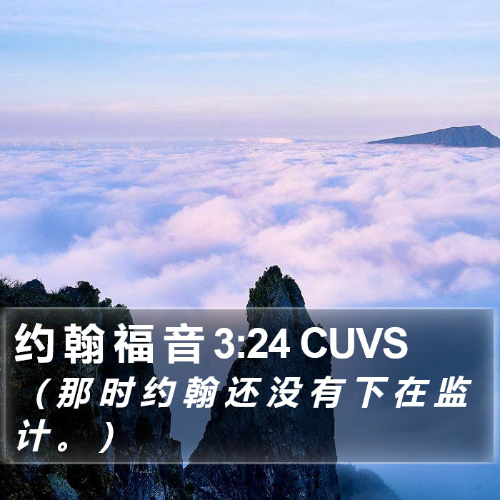 约 翰 福 音 3:24 CUVS Bible Study