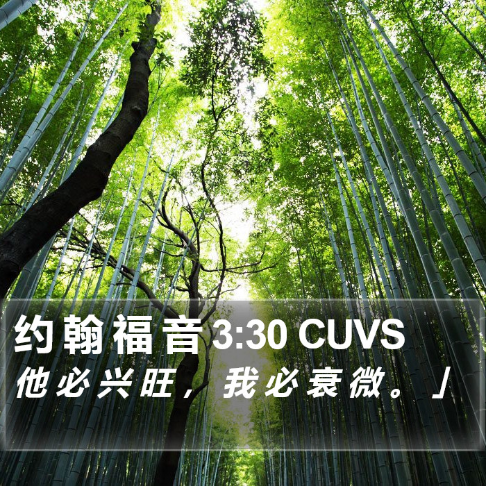 约 翰 福 音 3:30 CUVS Bible Study