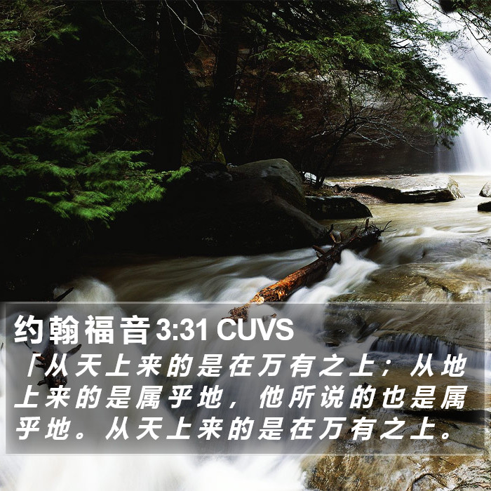 约 翰 福 音 3:31 CUVS Bible Study