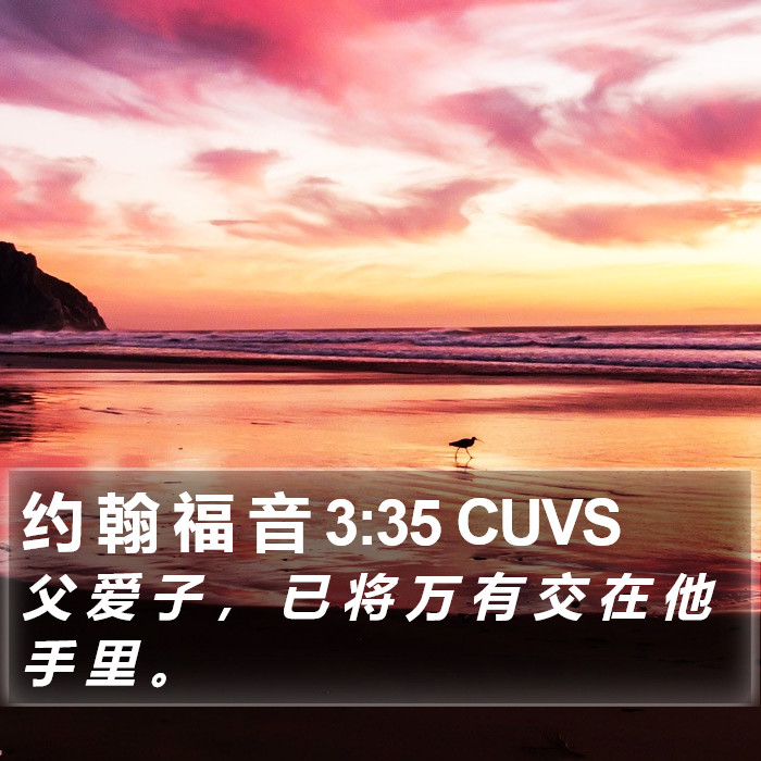 约 翰 福 音 3:35 CUVS Bible Study