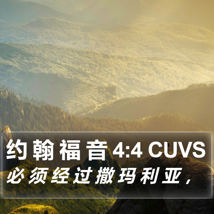 约 翰 福 音 4:4 CUVS Bible Study