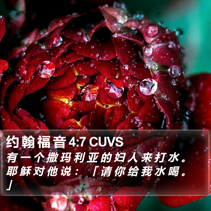 约 翰 福 音 4:7 CUVS Bible Study