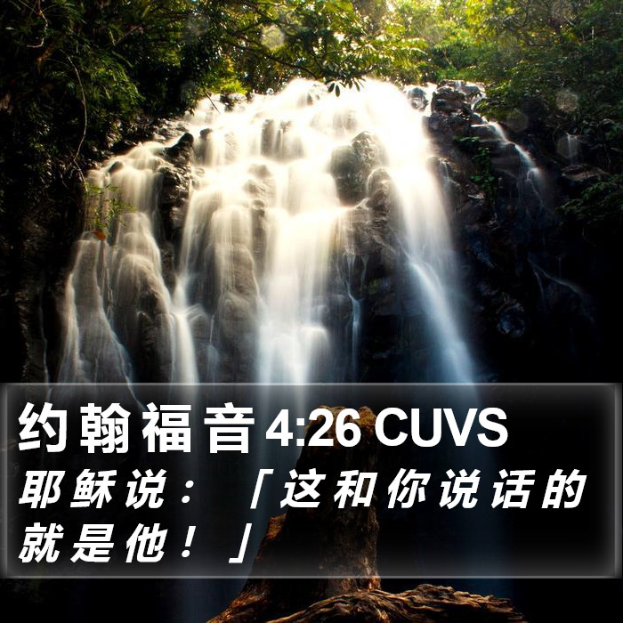 约 翰 福 音 4:26 CUVS Bible Study