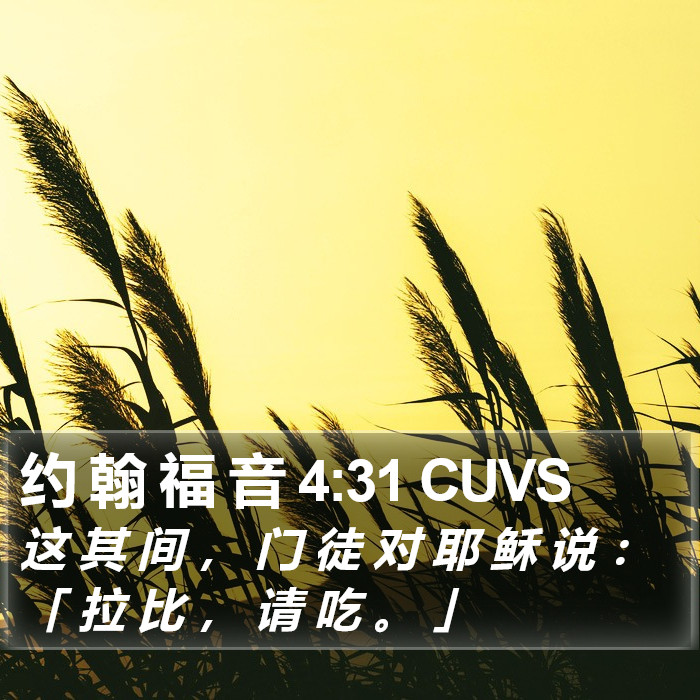 约 翰 福 音 4:31 CUVS Bible Study