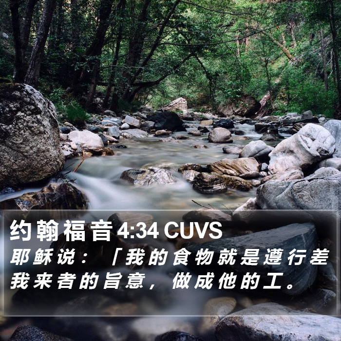约 翰 福 音 4:34 CUVS Bible Study