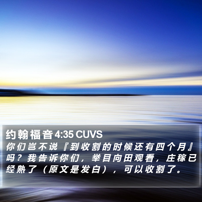 约 翰 福 音 4:35 CUVS Bible Study