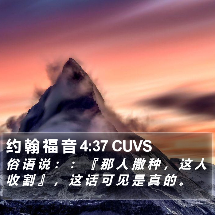 约 翰 福 音 4:37 CUVS Bible Study