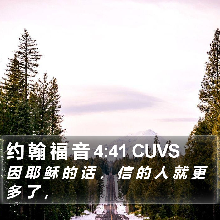 约 翰 福 音 4:41 CUVS Bible Study